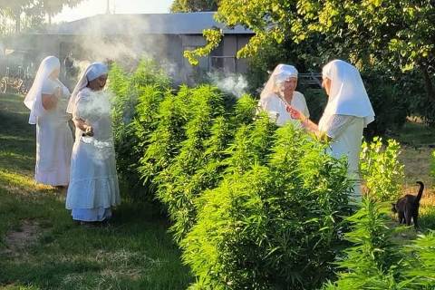 Sisters of the Valley, a group of self-described weed nuns based in Merced, California. Foto: Reprodução/sistersofthevalley no Instagram DIREITOS RESERVADOS. NÃO PUBLICAR SEM AUTORIZAÇÃO DO DETENTOR DOS DIREITOS AUTORAIS E DE IMAGEM